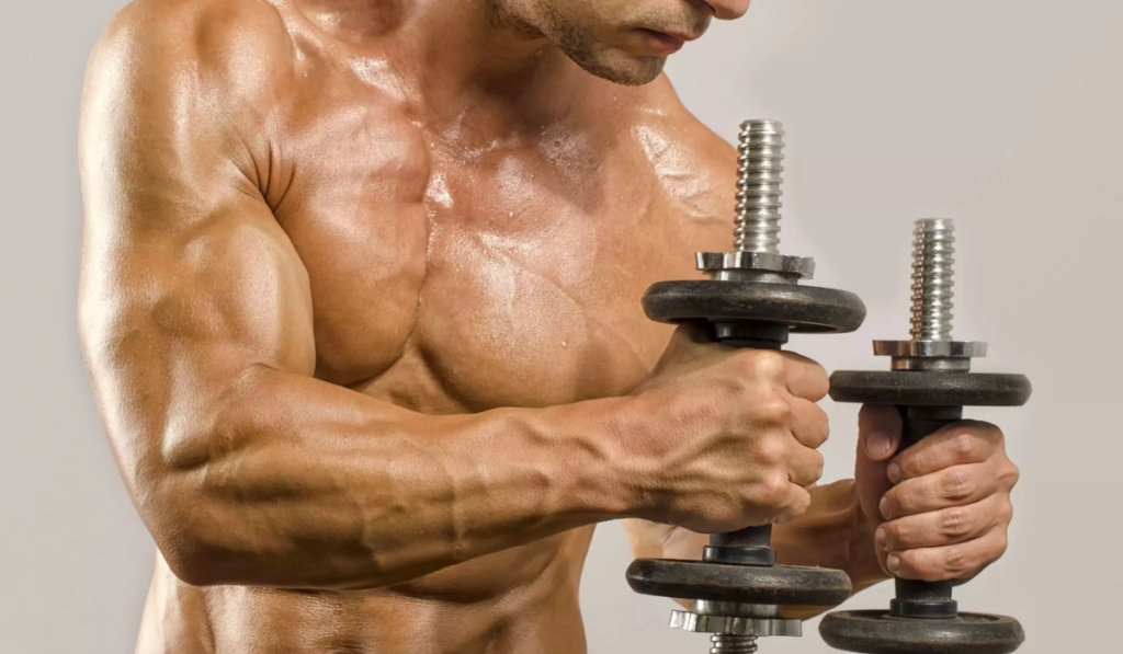 Definicion muscular